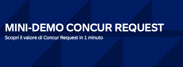 Mini-demo Concur Request