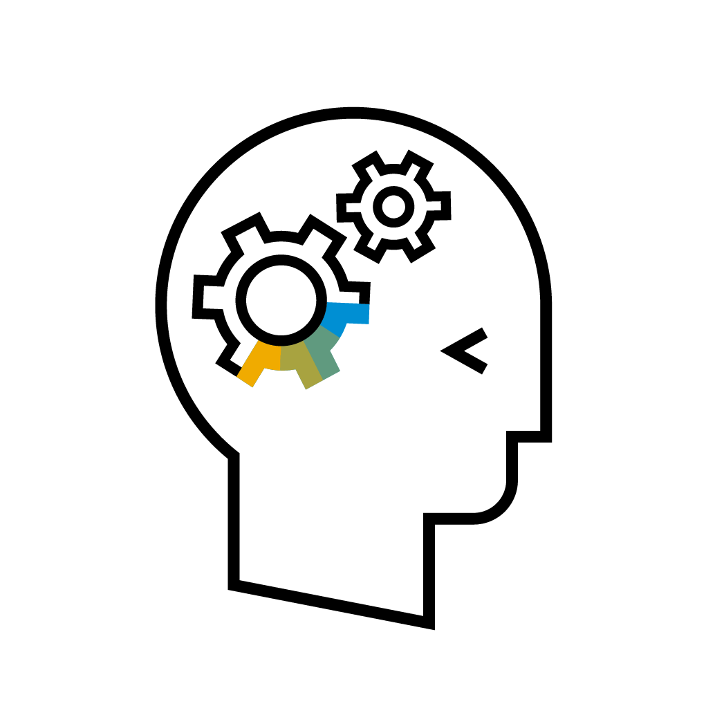 Resource asset image