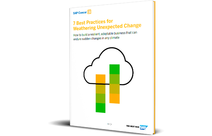 Resource asset image