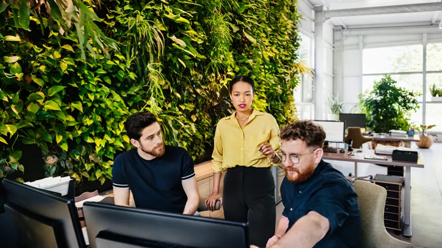 business collaborators