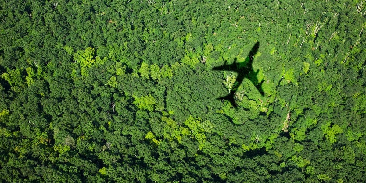 airplane shadow over forest 